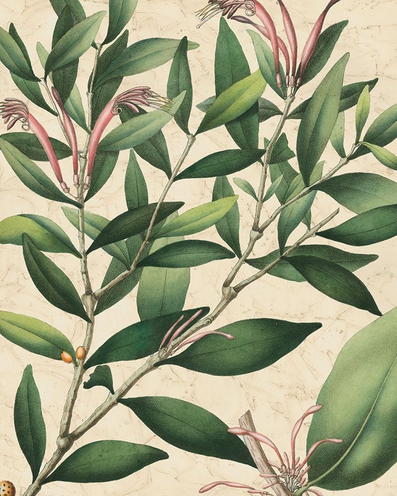 Wall art: Botanic Beauty II, by Vision Studio