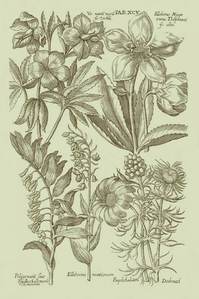 Wall Art Painting id:35478, Name: Garden of Flora III, Artist: Vision Studio