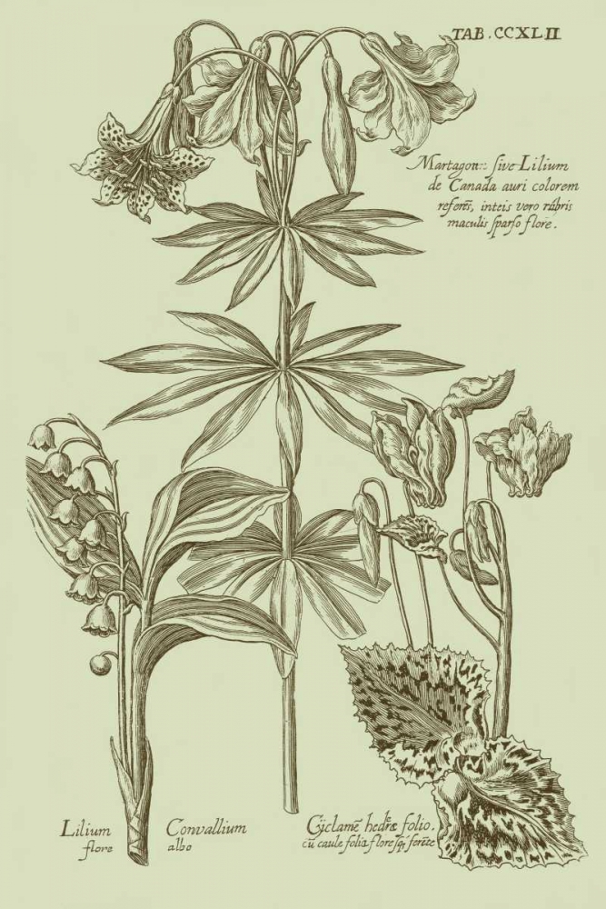 Wall Art Painting id:35479, Name: Garden of Flora IV, Artist: Vision Studio