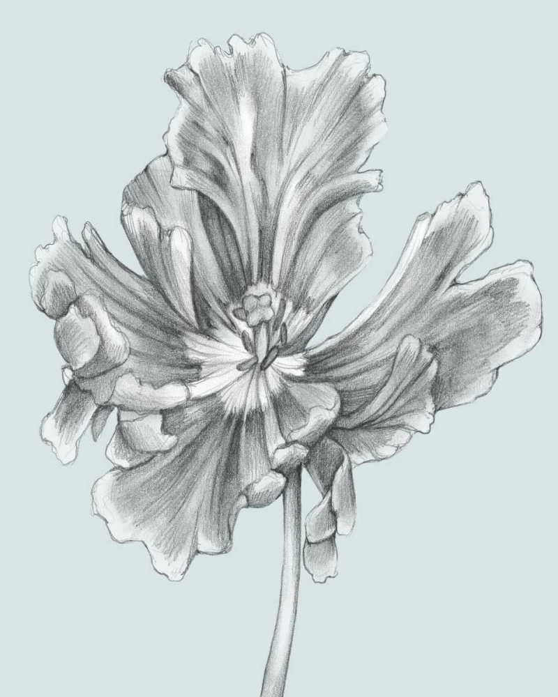 Wall art: Silvery Blue Tulips III, by Goldberger, Jennifer