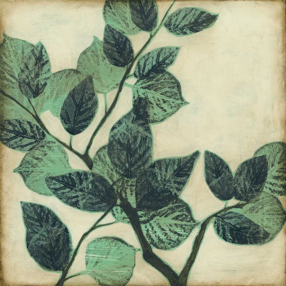 Art Print: Graphic Leaves II