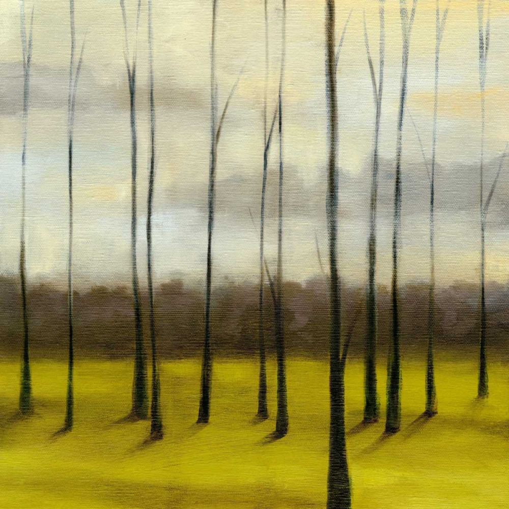 Art Print: Sunlit Treeline I