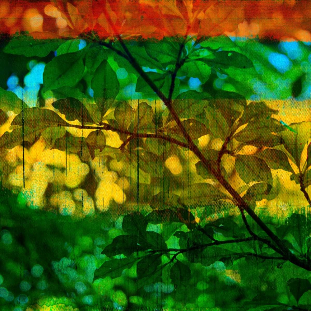 Wall Art Painting id:35645, Name: Abstract Leaf Study I, Artist: Jasper, Sisa