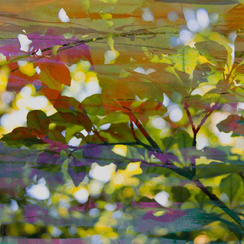 Wall Art Painting id:35646, Name: Abstract Leaf Study II, Artist: Jasper, Sisa