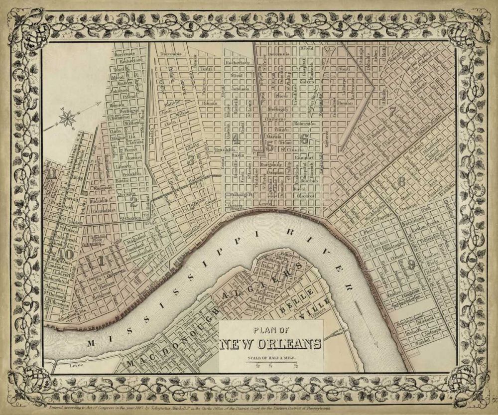 Wall Art Painting id:239225, Name: Plan of New Orleans, Artist: Mitchell