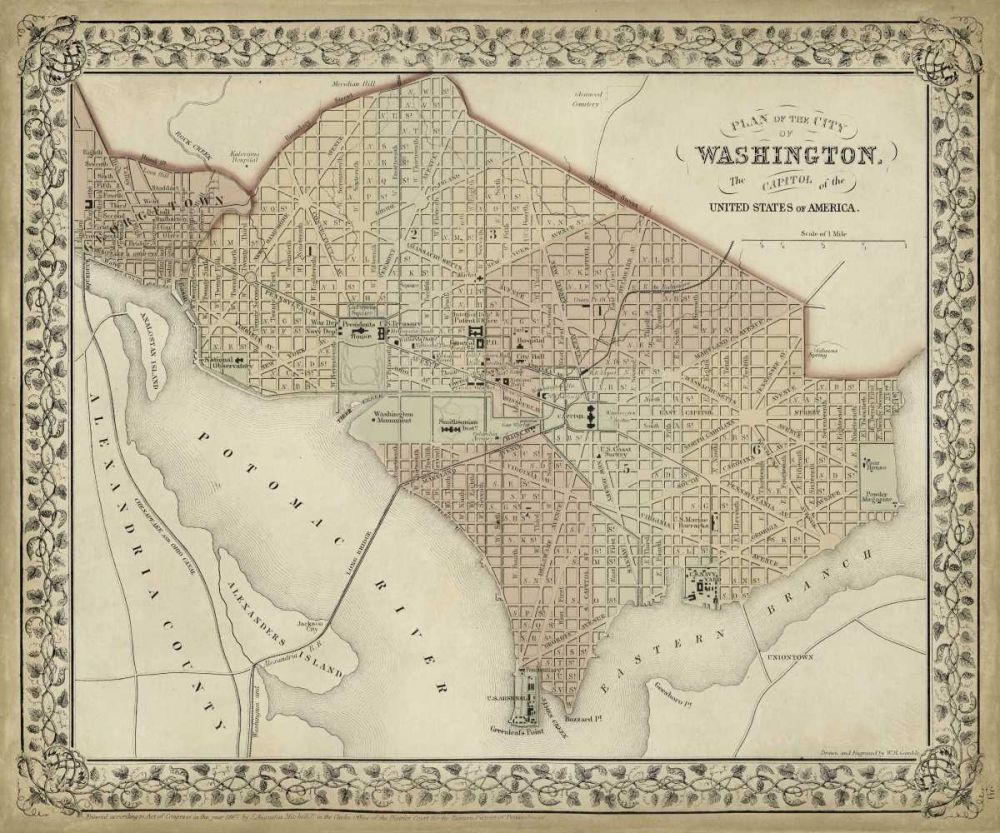 Wall Art Painting id:239226, Name: Plan of Washington, D.C., Artist: Mitchell