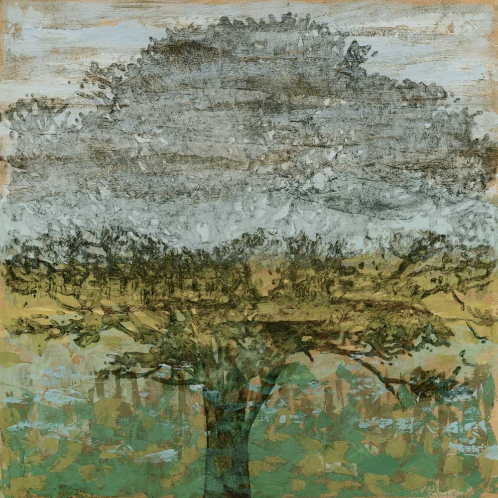 Wall Art Painting id:35709, Name: Arbor Shadow II, Artist: Meagher, Megan