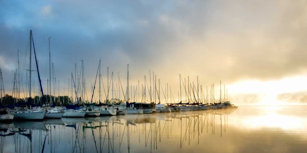 Art Print: Breaking Through II