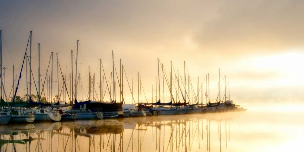 Art Print: Marina Morning I