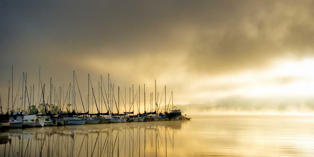 Art Print: Marina Morning II