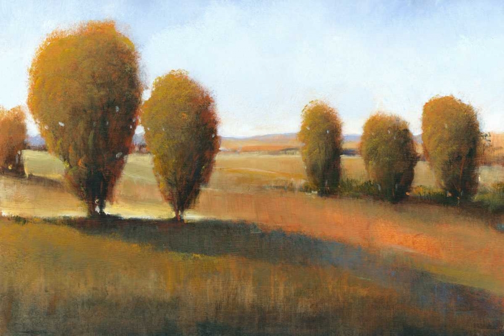 Wall Art Painting id:35750, Name: Afternoon Light I, Artist: OToole, Tim