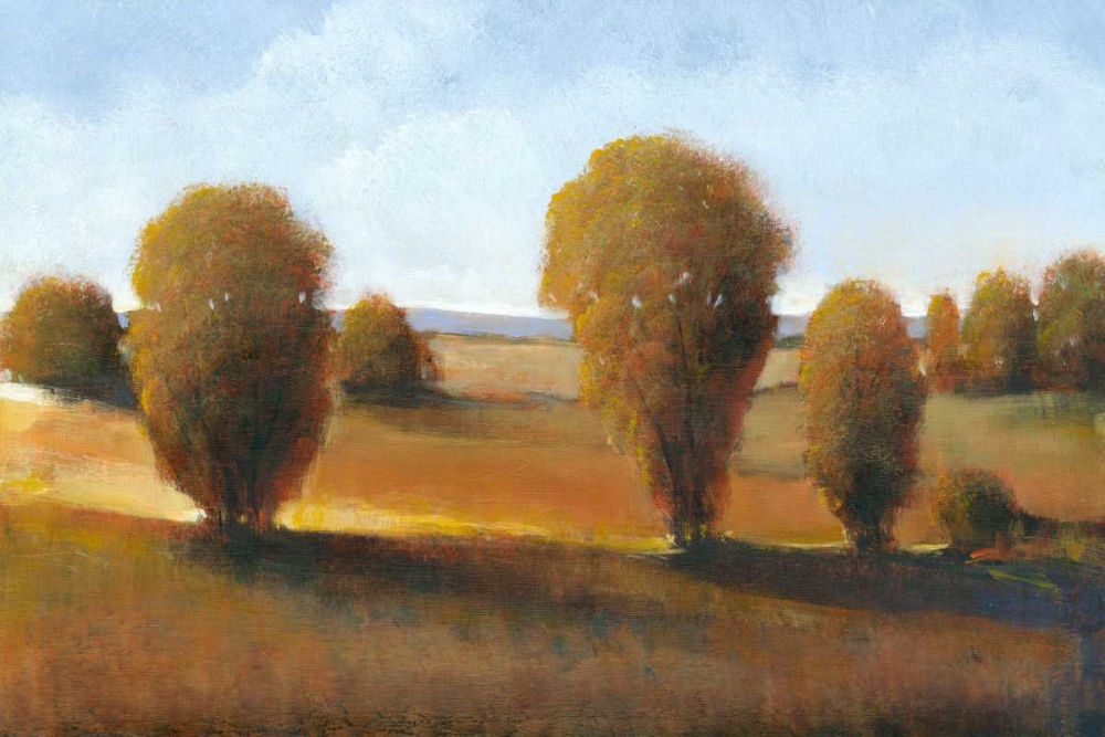 Wall Art Painting id:35751, Name: Afternoon Light II, Artist: OToole, Tim
