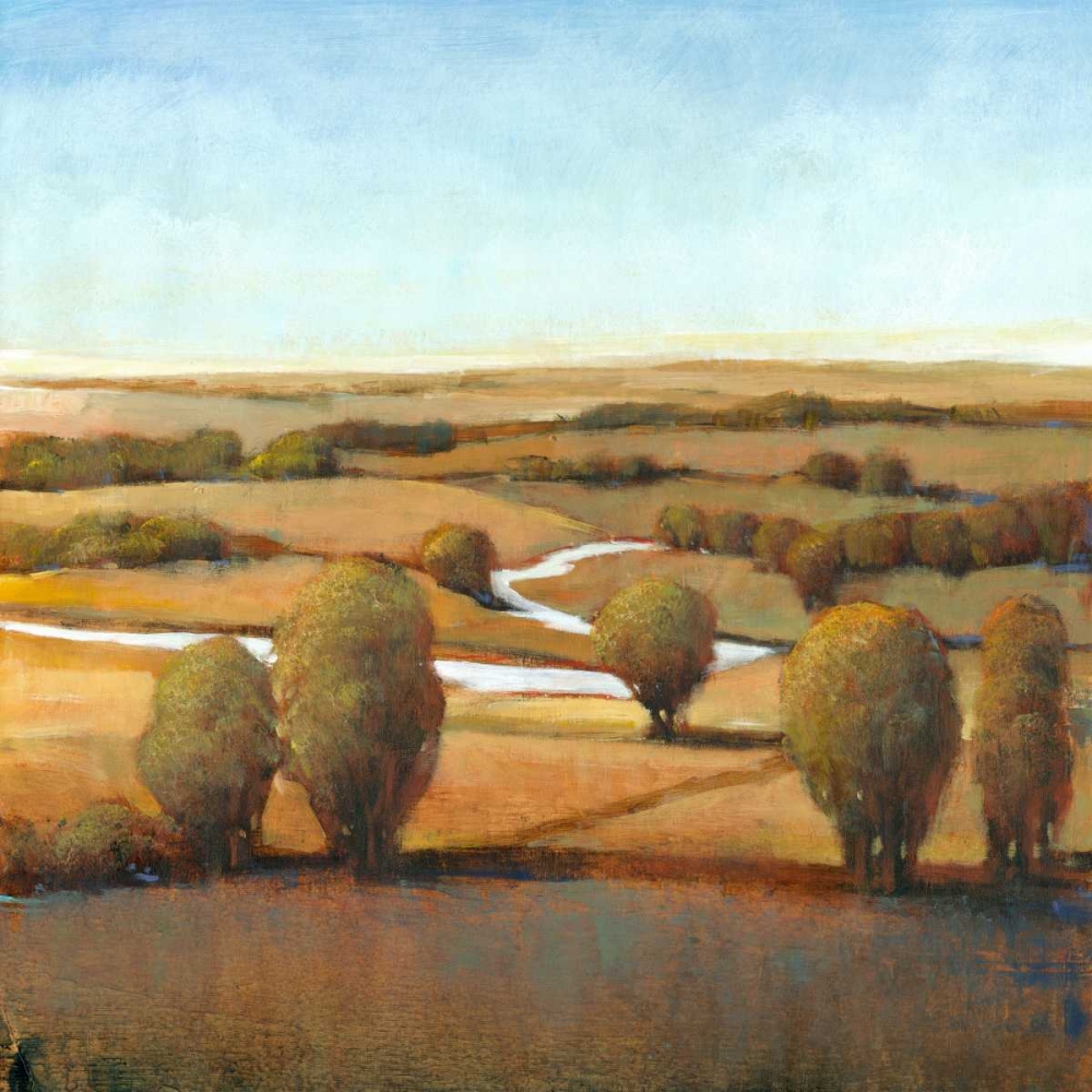 Wall Art Painting id:35752, Name: Afternoon Light III, Artist: OToole, Tim