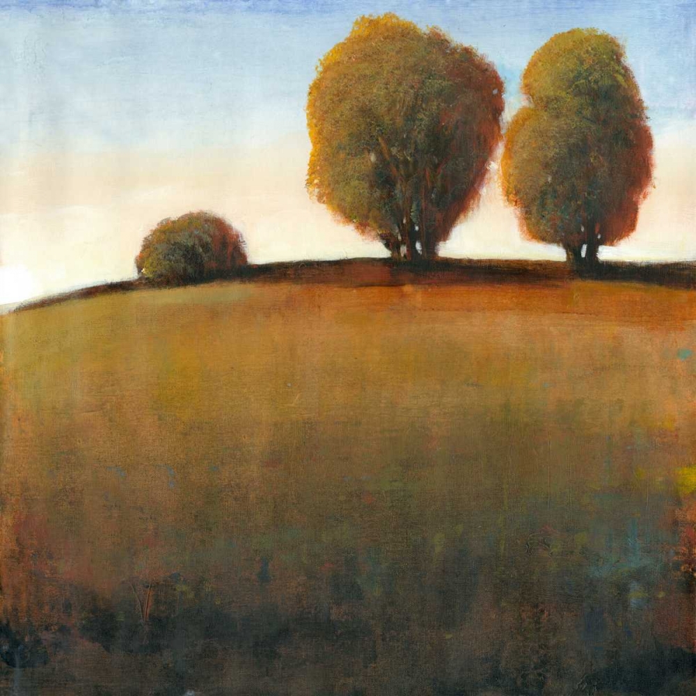 Wall Art Painting id:35753, Name: Afternoon Light IV, Artist: OToole, Tim