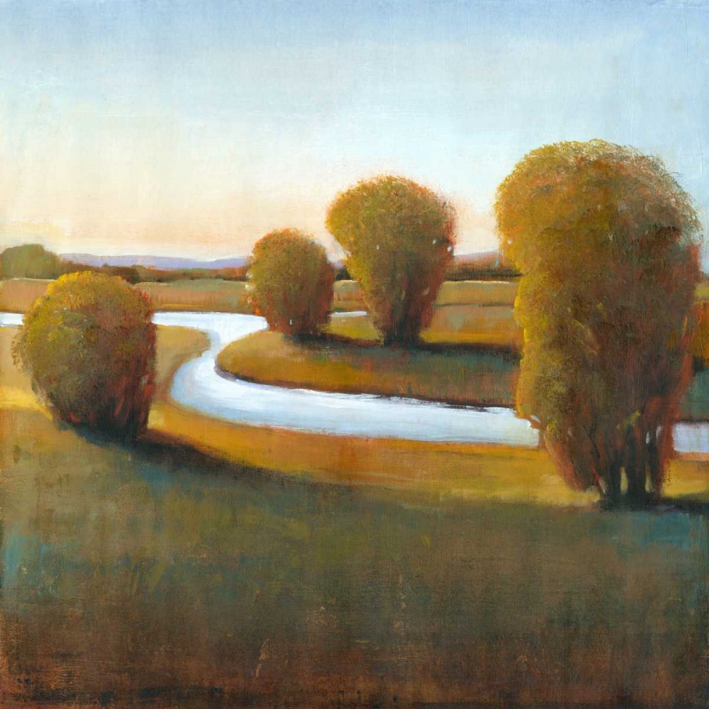 Wall Art Painting id:35754, Name: Afternoon Light V, Artist: OToole, Tim