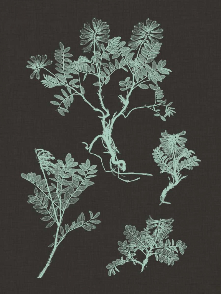 Wall Art Painting id:35810, Name: Mint and Charcoal Nature Study II, Artist: Vision Studio