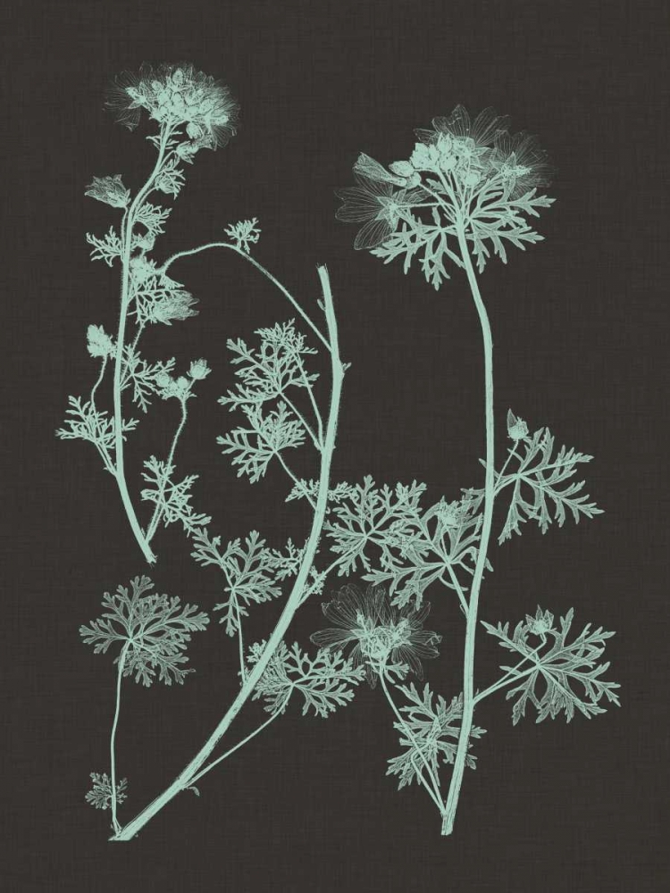 Wall Art Painting id:35812, Name: Mint and Charcoal Nature Study IV, Artist: Vision Studio