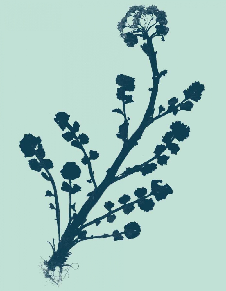 Wall Art Painting id:35814, Name: Indigo and Mint Botanical Study II, Artist: Vision Studio