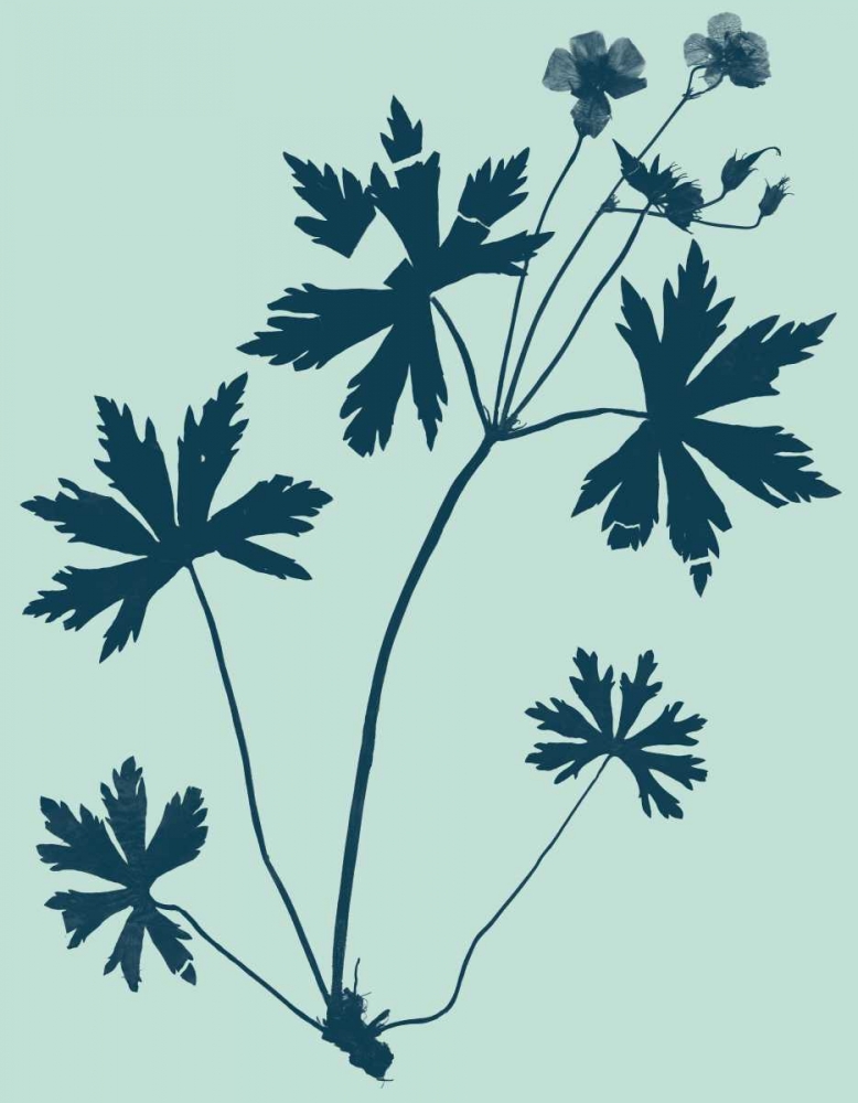 Wall Art Painting id:35815, Name: Indigo and Mint Botanical Study III, Artist: Vision Studio