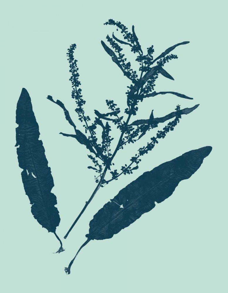 Wall Art Painting id:35816, Name: Indigo and Mint Botanical Study IV, Artist: Vision Studio