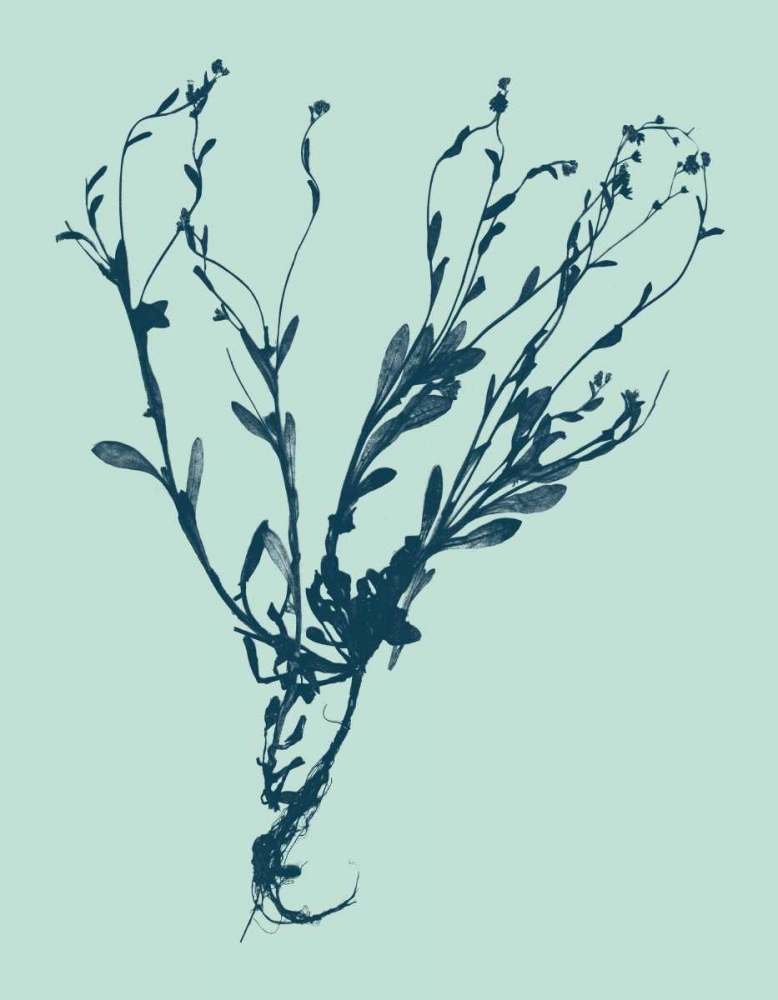 Wall Art Painting id:35818, Name: Indigo and Mint Botanical Study VI, Artist: Vision Studio