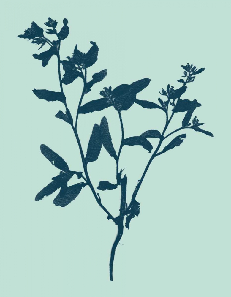 Wall Art Painting id:35819, Name: Indigo and Mint Botanical Study VII, Artist: Vision Studio