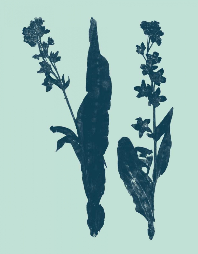 Wall Art Painting id:35820, Name: Indigo and Mint Botanical Study VIII, Artist: Vision Studio