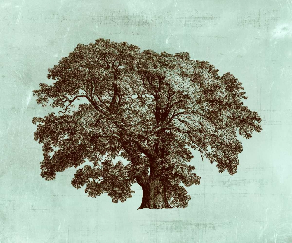 Wall Art Painting id:35834, Name: Spa Tree II, Artist: Vision Studio