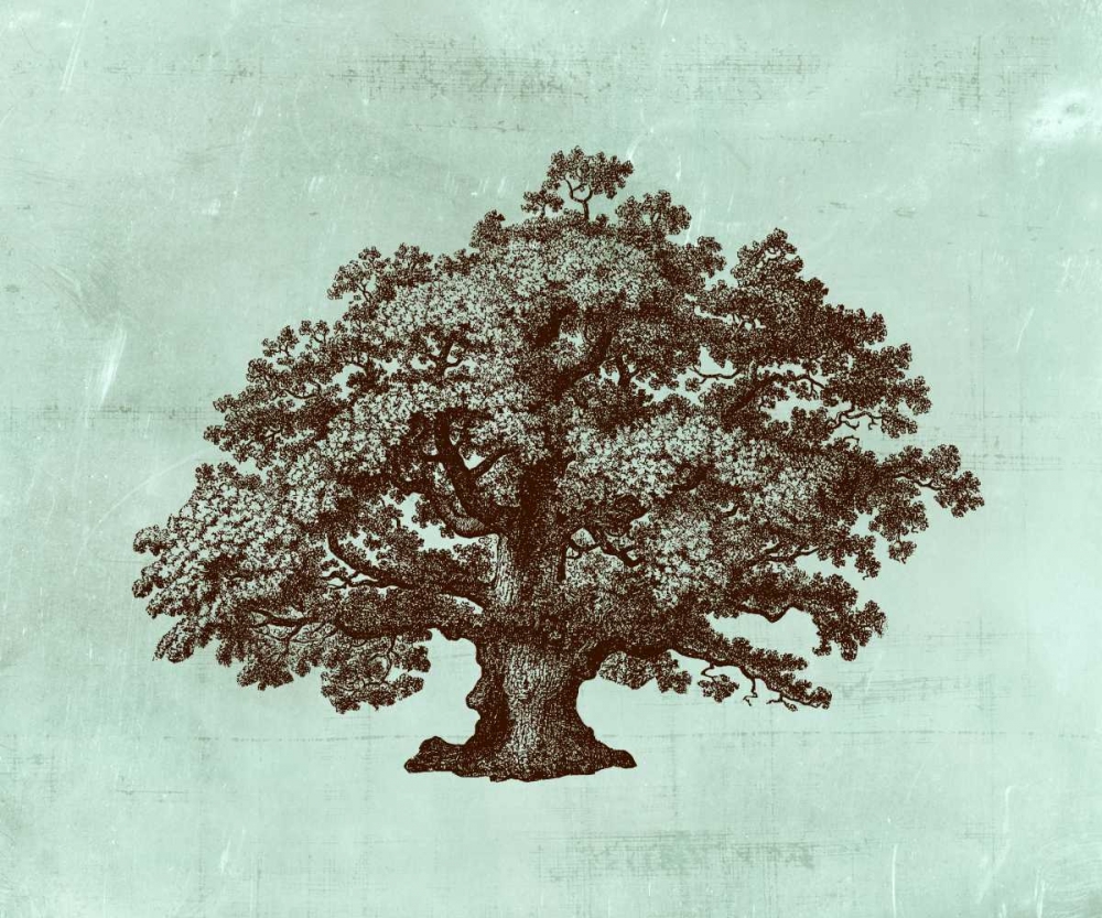 Wall Art Painting id:35835, Name: Spa Tree III, Artist: Vision Studio