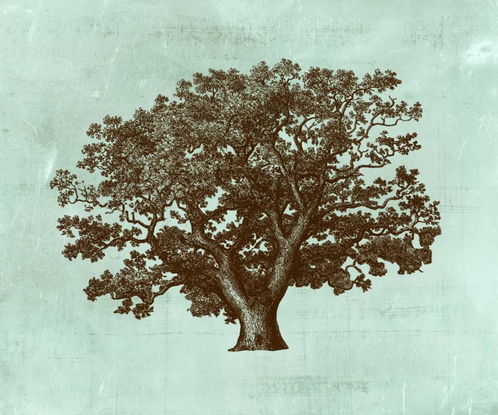 Wall Art Painting id:35836, Name: Spa Tree IV, Artist: Vision Studio