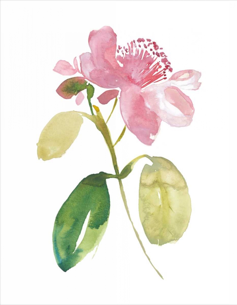 Wall art: Watercolor Garden I, by Mosley, Kiana