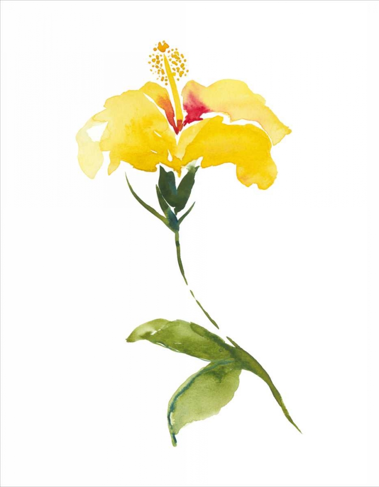 Wall art: Watercolor Garden II, by Mosley, Kiana