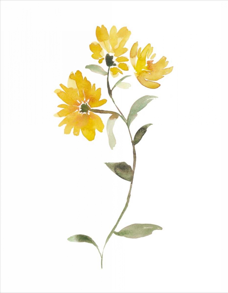 Similar wall art painting: 74787