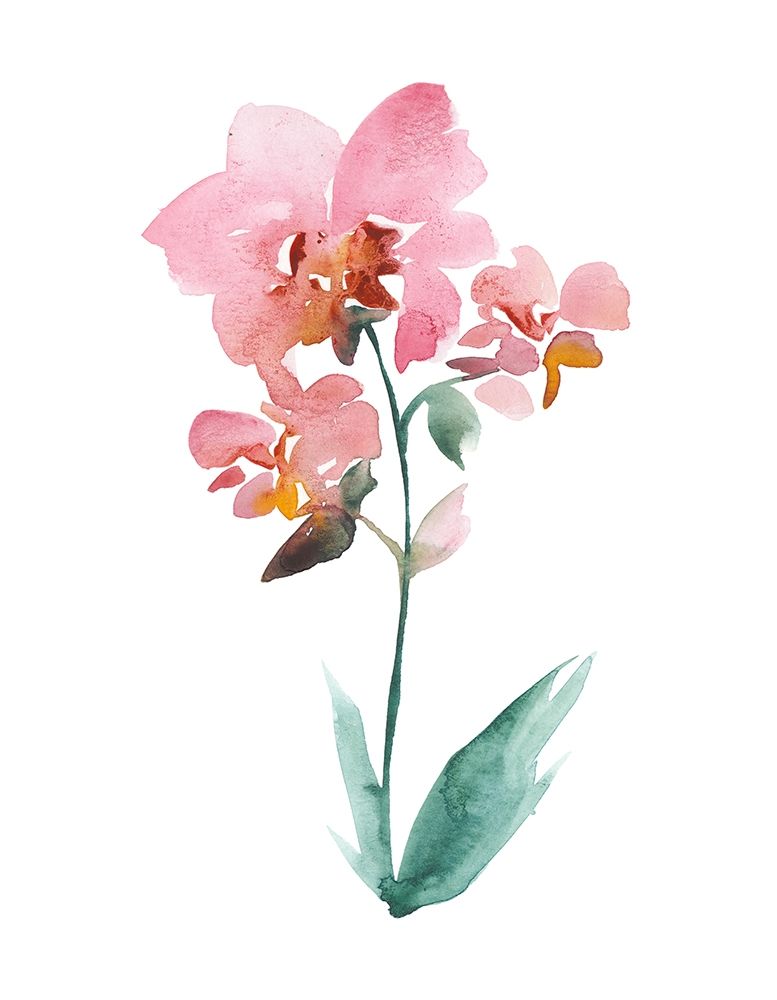Wall Art Painting id:252127, Name: Watercolor Garden V, Artist: Mosley, Kiana