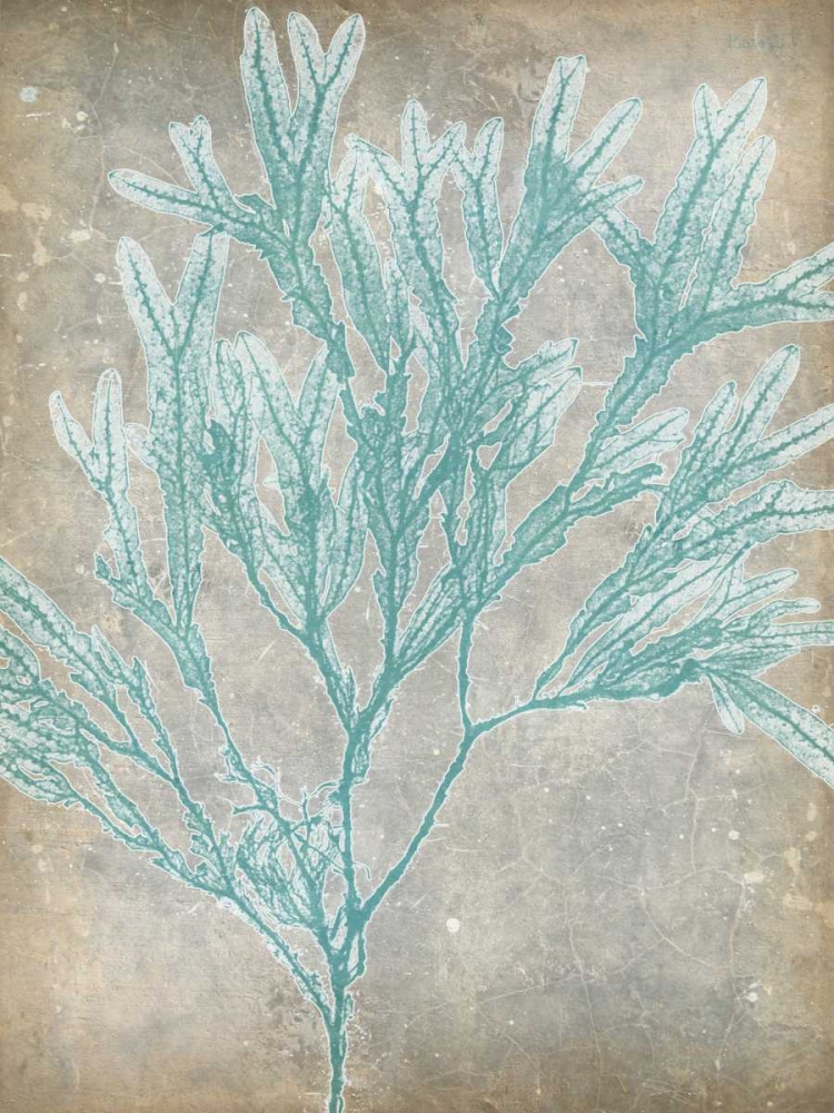 Art Print: Spa Seaweed I