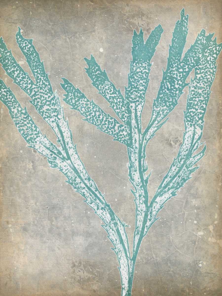 Art Print: Spa Seaweed II