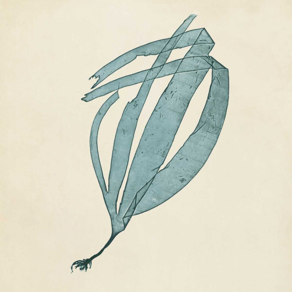 Wall Art Painting id:38618, Name: Chromatic Seaweed II, Artist: Vision Studio