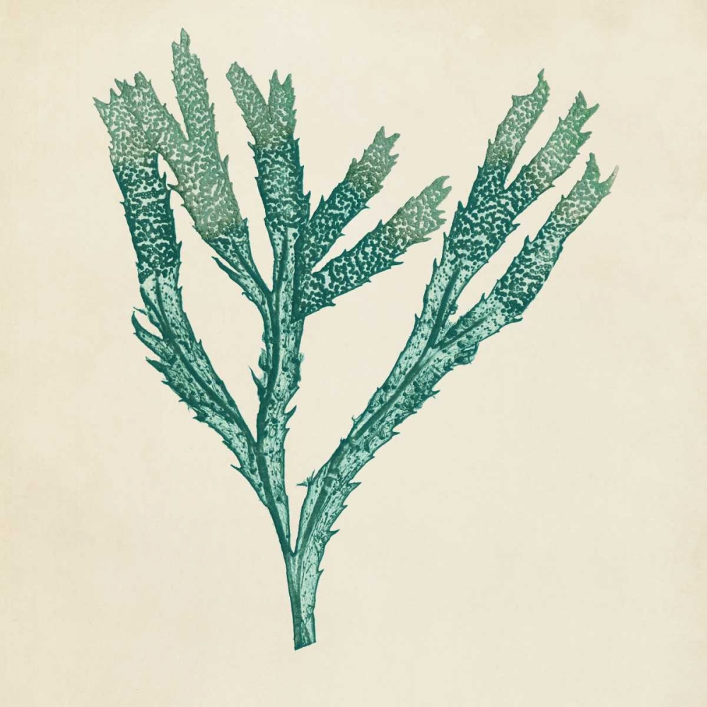 Wall Art Painting id:38619, Name: Chromatic Seaweed III, Artist: Vision Studio