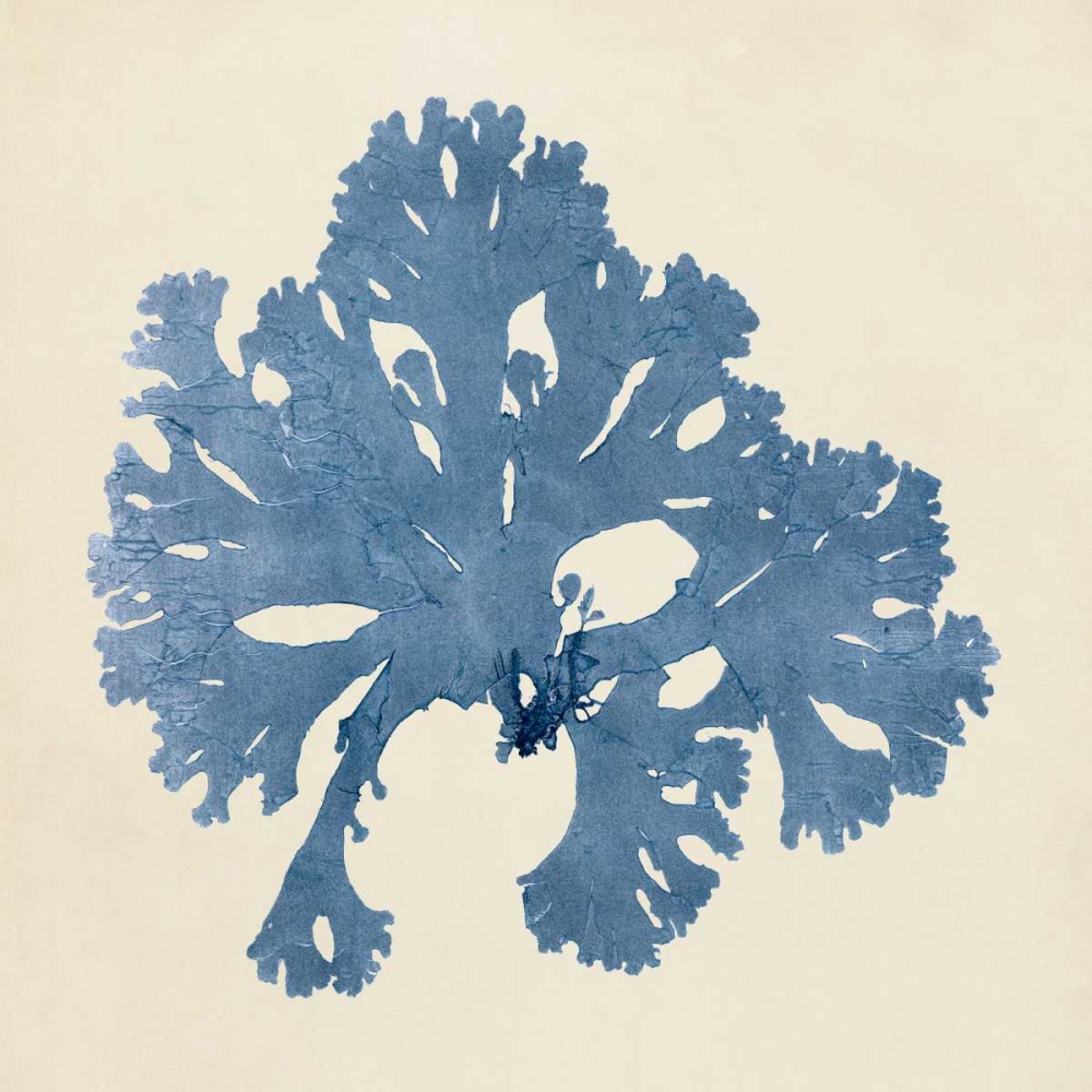 Wall Art Painting id:38621, Name: Chromatic Seaweed V, Artist: Vision Studio