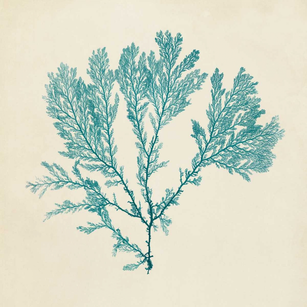 Wall Art Painting id:38624, Name: Chromatic Seaweed VIII, Artist: Vision Studio