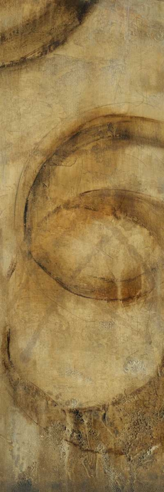 Wall Art Painting id:38717, Name: Orbit II, Artist: OToole, Tim