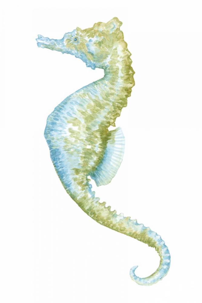 Art Print: Watercolor Seahorse II