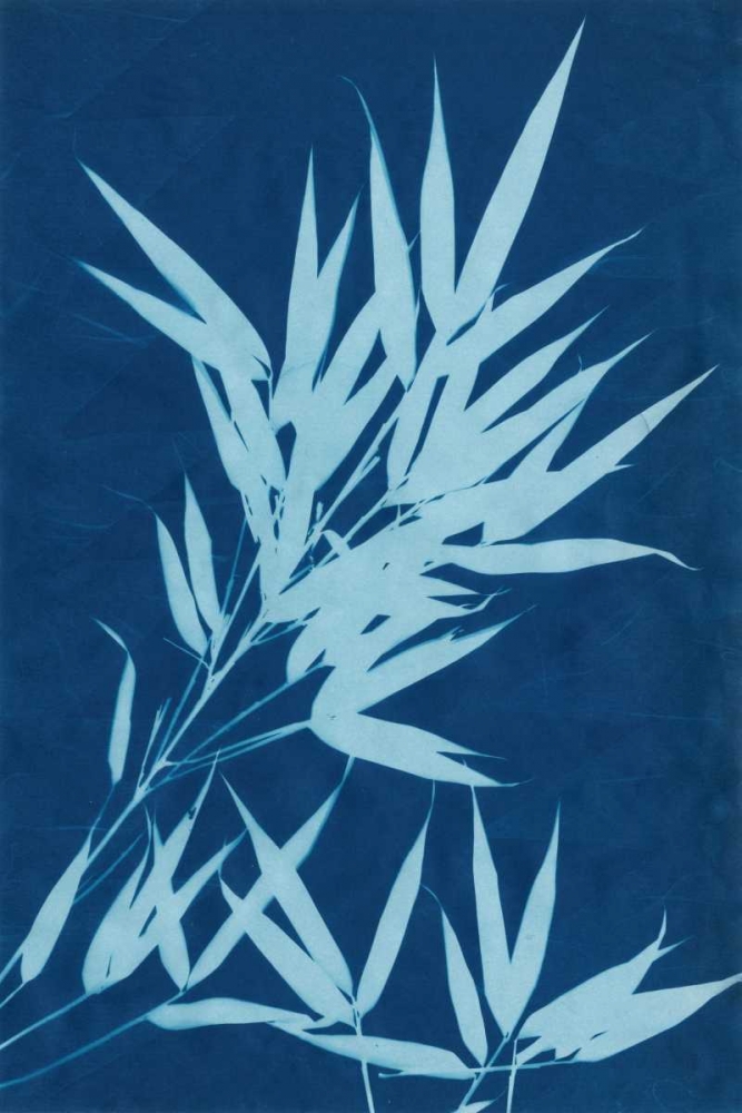 Wall Art Painting id:38781, Name: Cyanotype No.1, Artist: Stramel, Renee W.