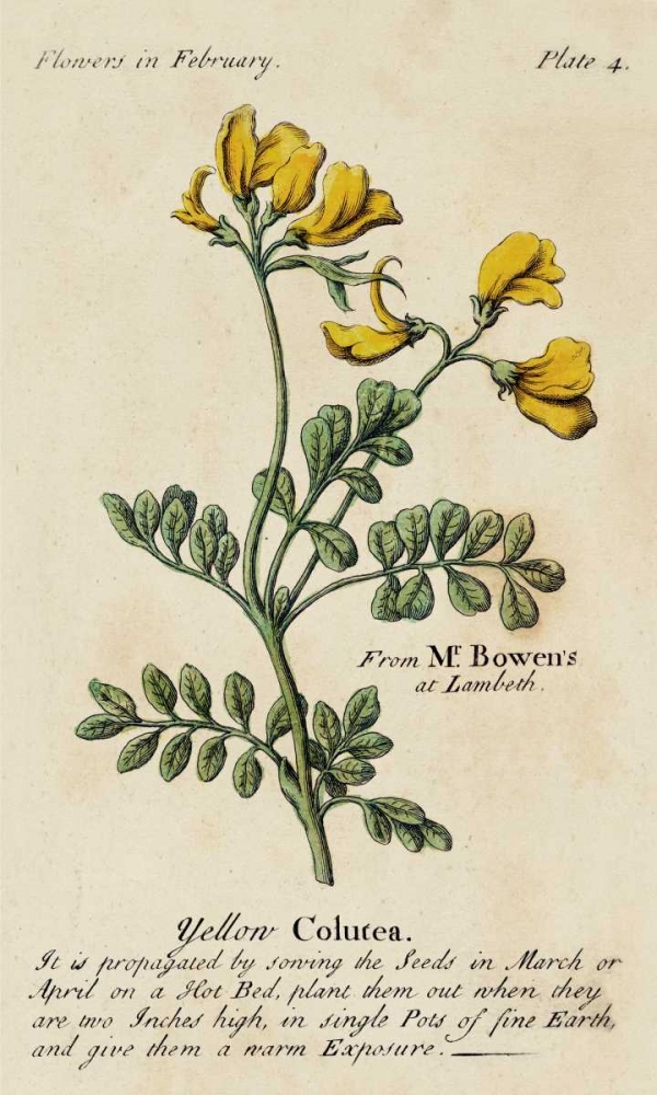 Wall Art Painting id:38800, Name: Gardeners Guide I, Artist: Unknown