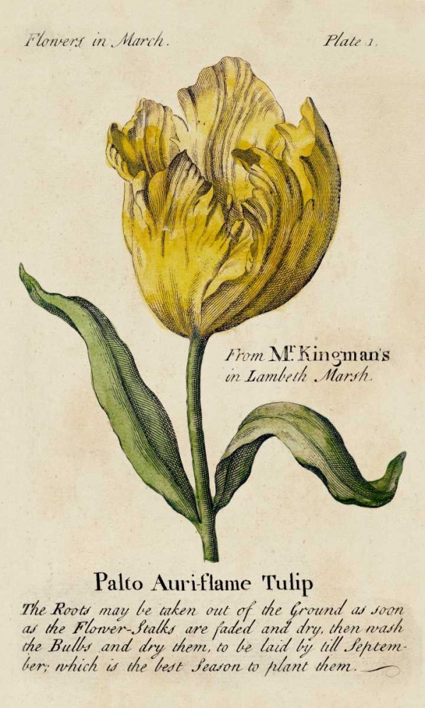 Wall Art Painting id:38801, Name: Gardeners Guide II, Artist: Unknown