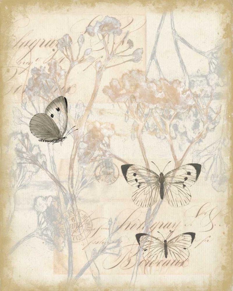 Art Print: Sunset Lace II