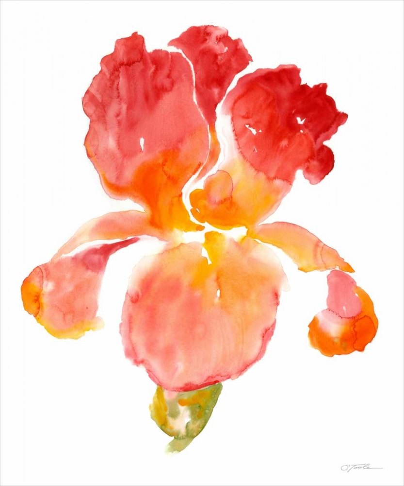 Wall Art Painting id:38866, Name: Sunset Blooms I, Artist: OToole, Tim