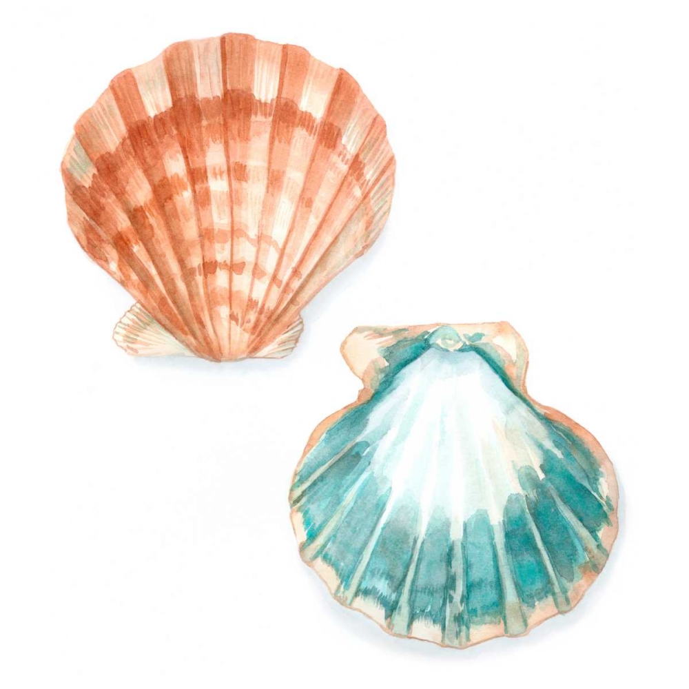 Art Print: Watercolor Shells I