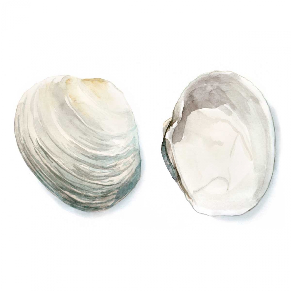 Art Print: Watercolor Shells II