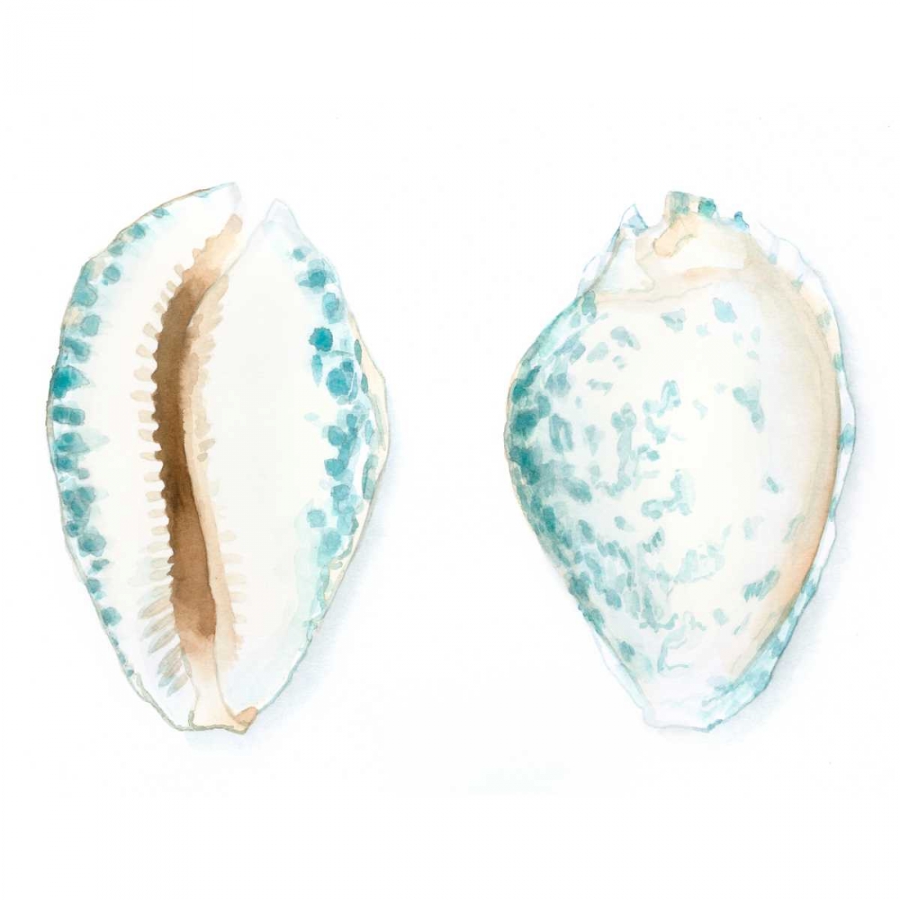 Art Print: Watercolor Shells VI